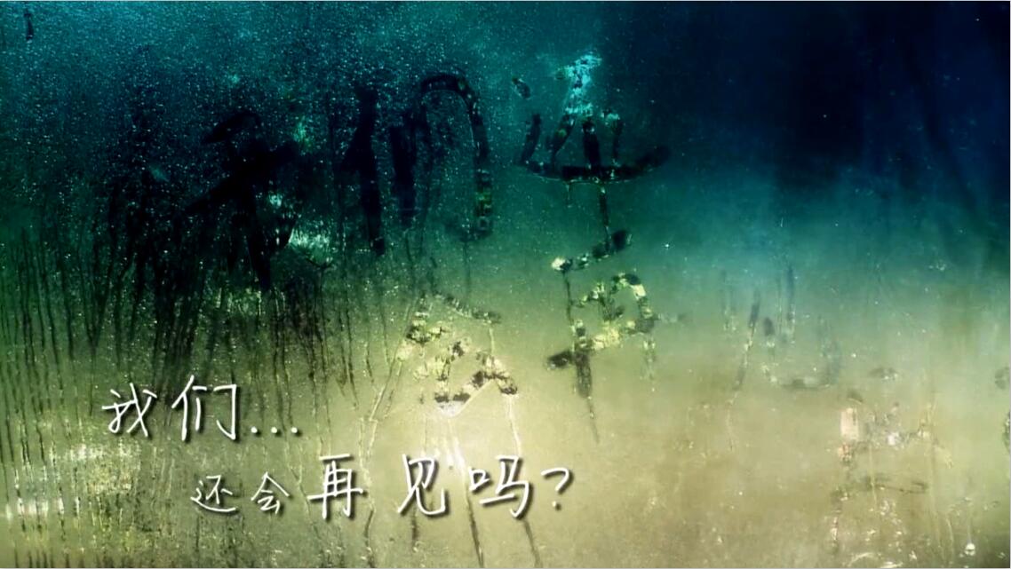 &#28216;&#33351;&#20250;&#40;&#20013;&#25991;&#41;&#23448;&#26041;&#32593;&#31449;